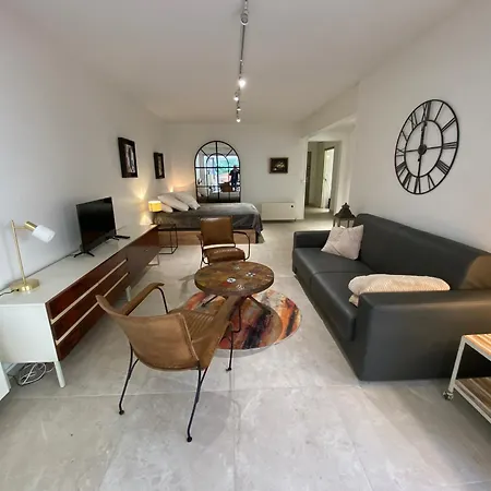 Appartement Spacieux studio rénové avec terrasse et parking privé - FR-1-374-99