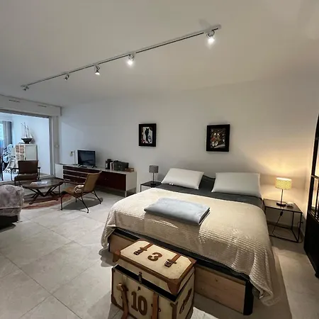 Spacieux studio rénové avec terrasse et parking privé - FR-1-374-99